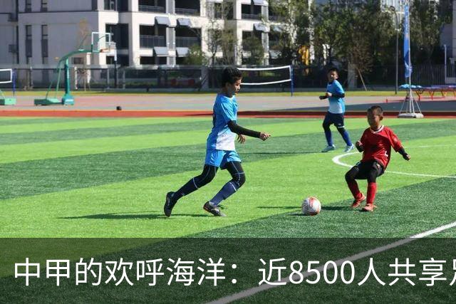 中甲的欢呼海洋：近8500人共享足球盛宴！