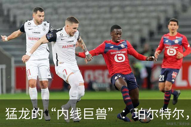 猛龙的“内线巨兽”：珀尔特尔，必要的守护神！